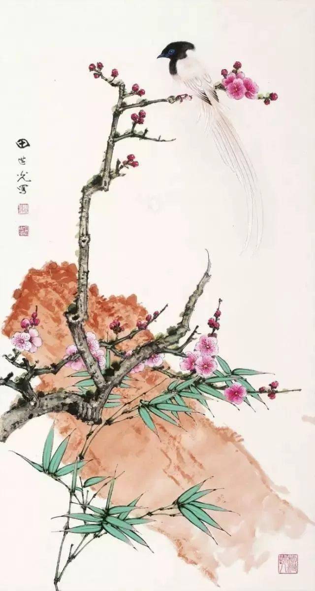 中国古美術.田世光款.花鳥画.宣紙画.三尺手描き.肉筆.掛け軸.絵画.書道.旧蔵 中国现代工笔花鸟画名家田世光绘画作品欣赏_搜狐网