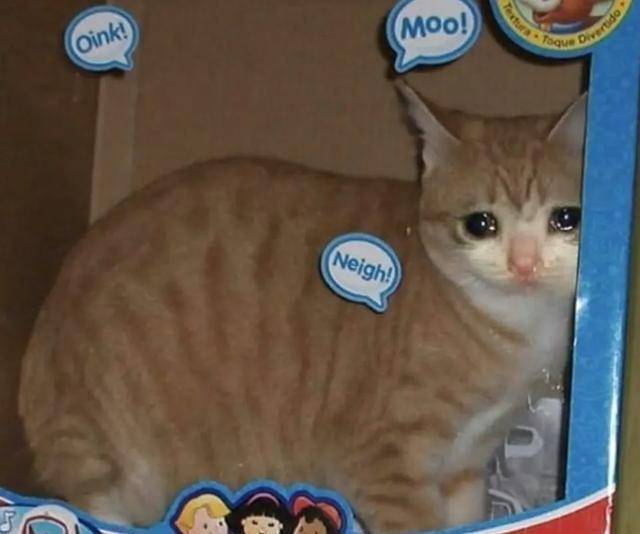 毛晓彤还是那个楚楚可怜的瑛贵人 哭起来酷似流泪猫