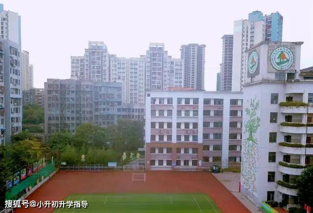 学校基本概况沙坪坝-森林实验小学