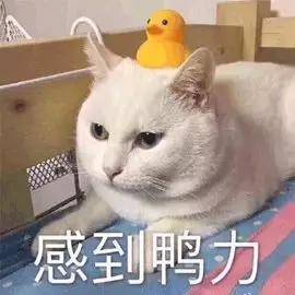 复试|考研改革破除“唯分论”！复试新增材料评议！双非考研党或更难上岸！