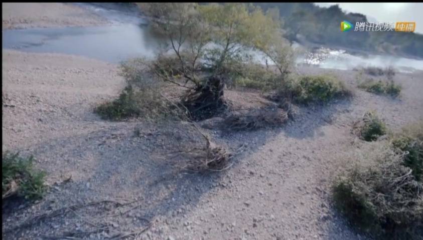 杨超越徐开骋​新剧槽点多，2倍数都看不下去，