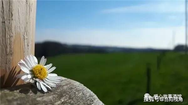 d466cf40edcc48c19d614377bf357933.jpeg
