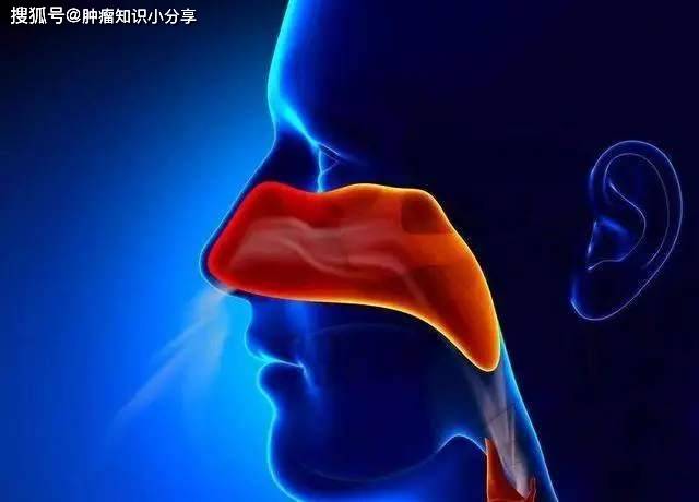 喉癌和下咽癌通称为咽喉癌,因发病部位不同,症状也有所不同.