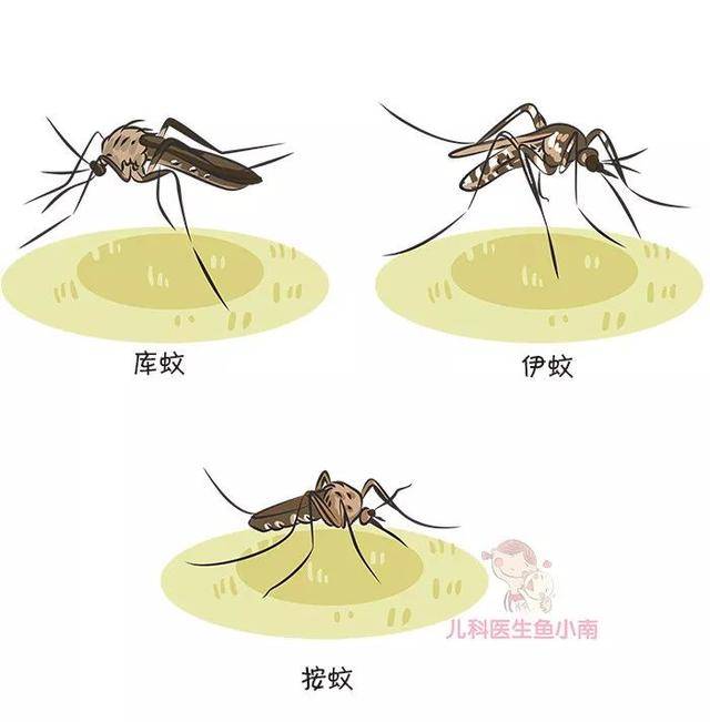 蚊子|夏天宝宝外出怎么防蚊？医生：最简单最管用的办法就是这6个