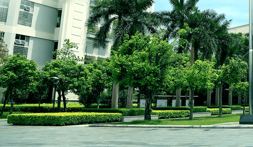 校区|这所知名985深圳校区录取线远超本部!网友建议:整体搬到深圳!