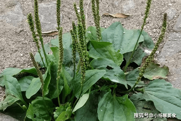 cf8b204fa80345bbb5d4e6494ab936fb.png
