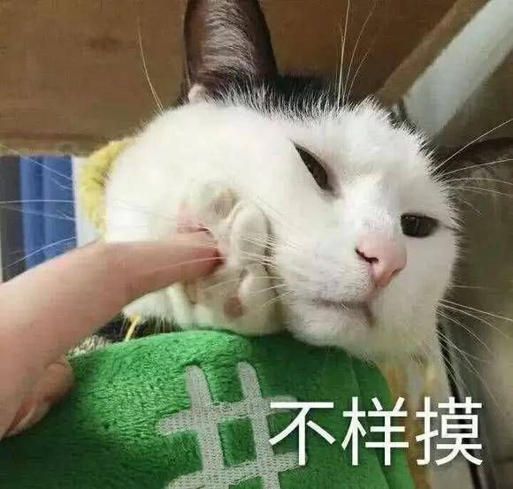 沙雕表情包丨你可别怪我心狠手辣