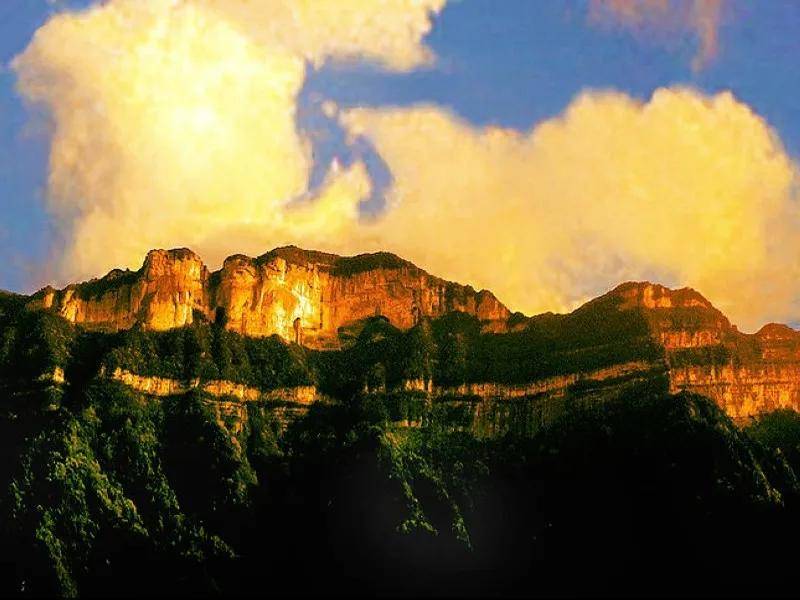 国家|极顶之妙｜金佛山