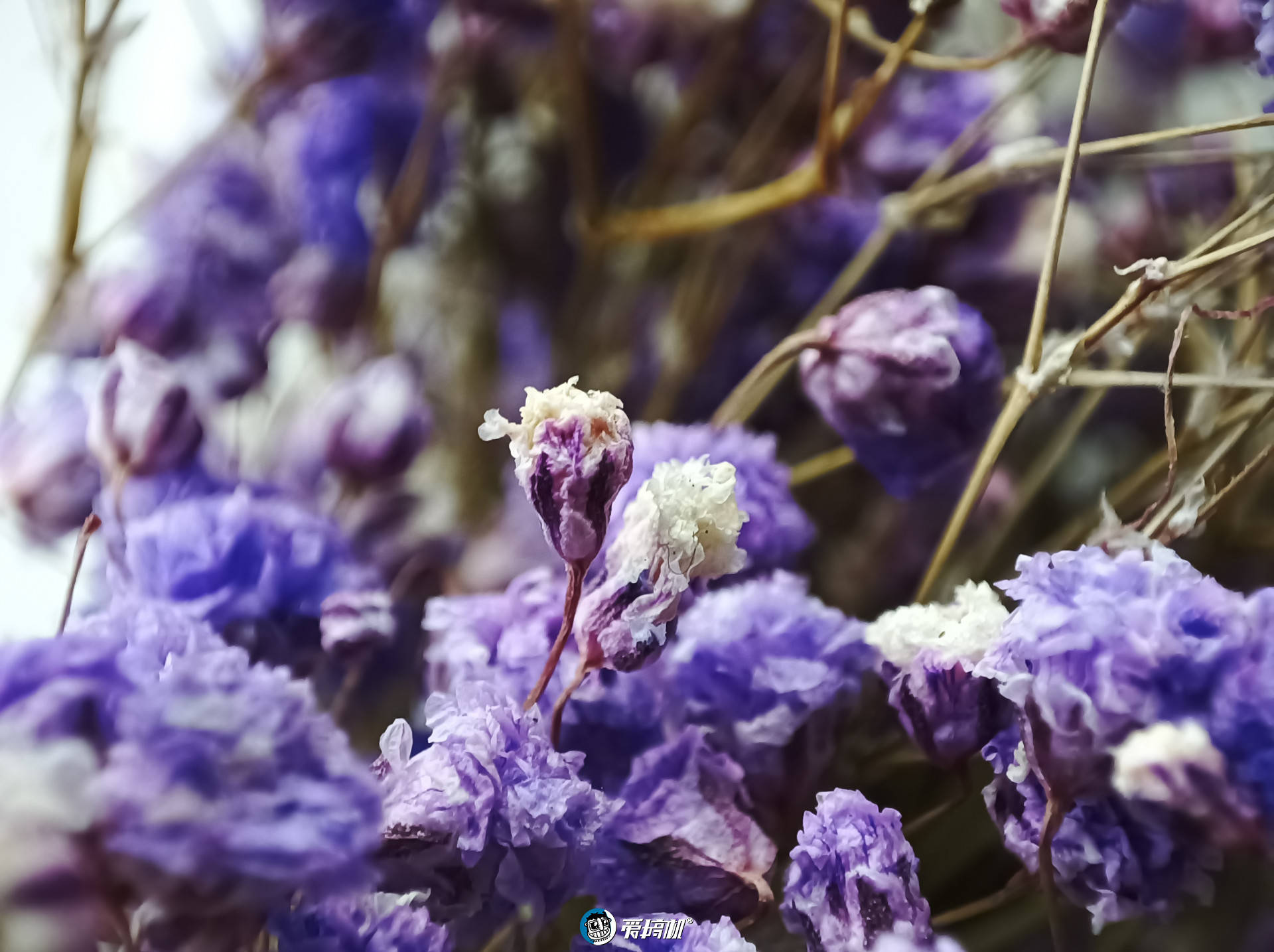 Redmi|香炸了！红米Redmi K30至尊纪念版体验评测