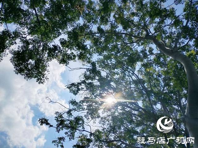 2b5082d741074f878ff76712d32d8fcb.jpeg