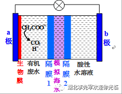 反应|特级教师答完高考山东卷并点评