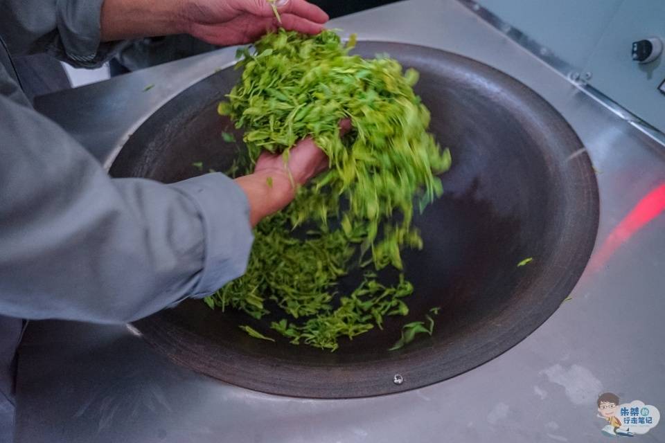 六安|世界上唯一单片生叶制成的无芽无梗的茶叶 名字特别 更是茶中精品