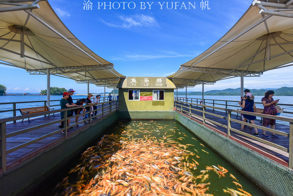 中国唯一360度湖景的岛上婚纱摄影基地，你知道在哪里吗？