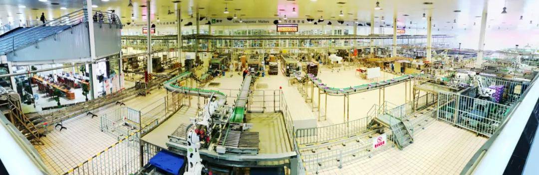 自白|一头牛的自白引发的思考