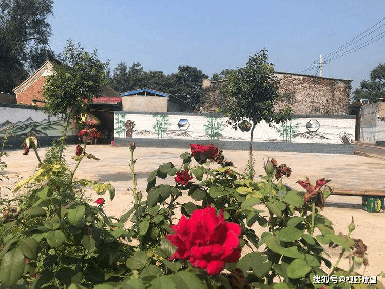 郏县白庙人口_郏县白庙乡老师张巧利