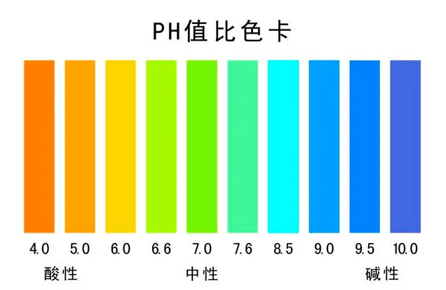 全场|19岁出道惊为天人，54岁长腿吸睛吊打全场！她是不是吃了防腐剂？