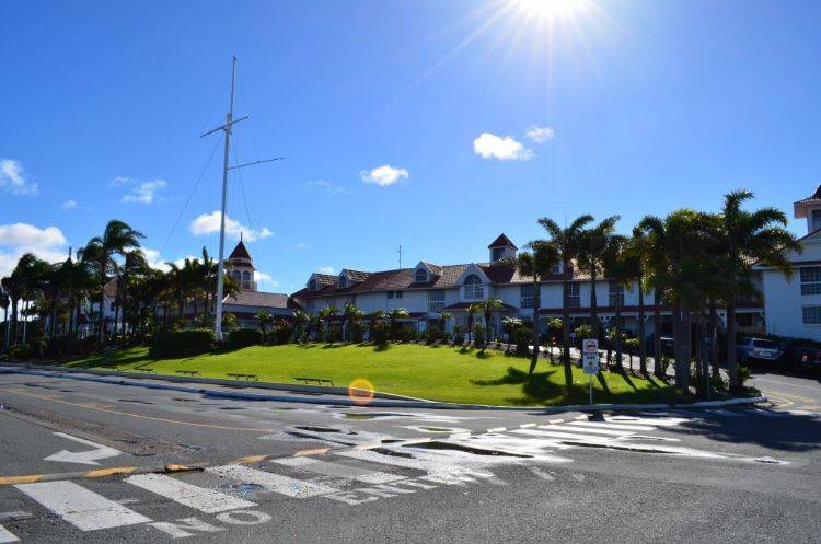 2020年澳洲护理专业_除了澳洲八大,这些院校的专业也很牛!