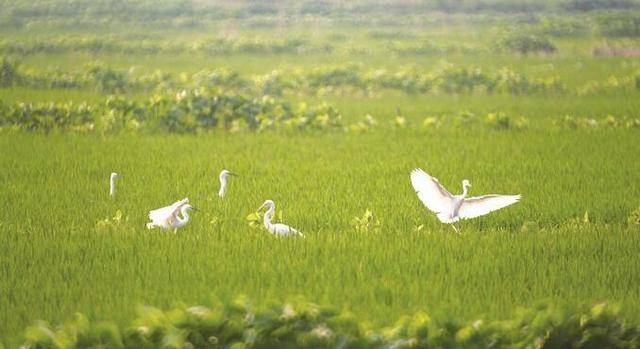 水量600GDP_黄龙600(2)