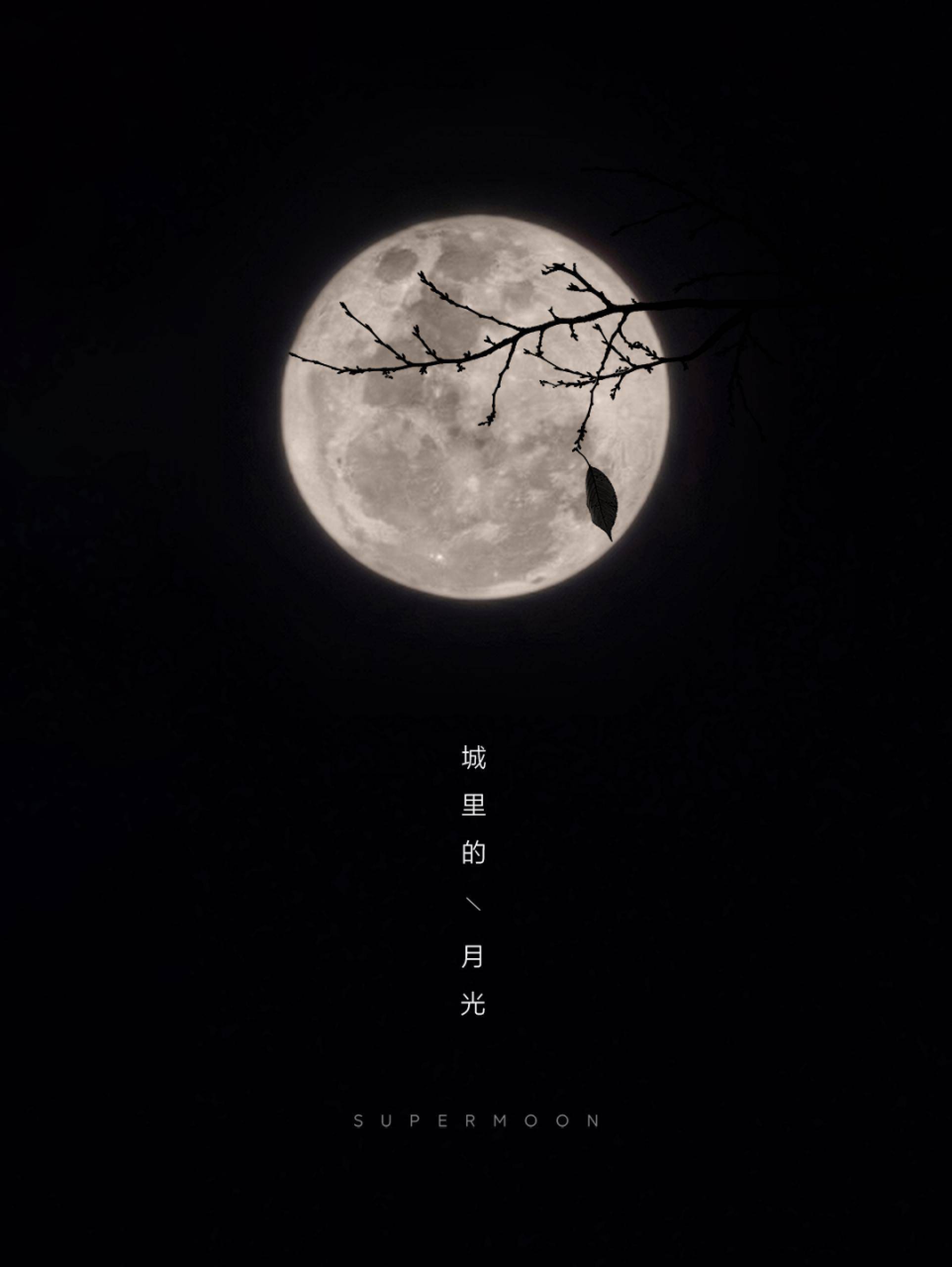 小米|小米再创业，自研AI是助力的关键一环