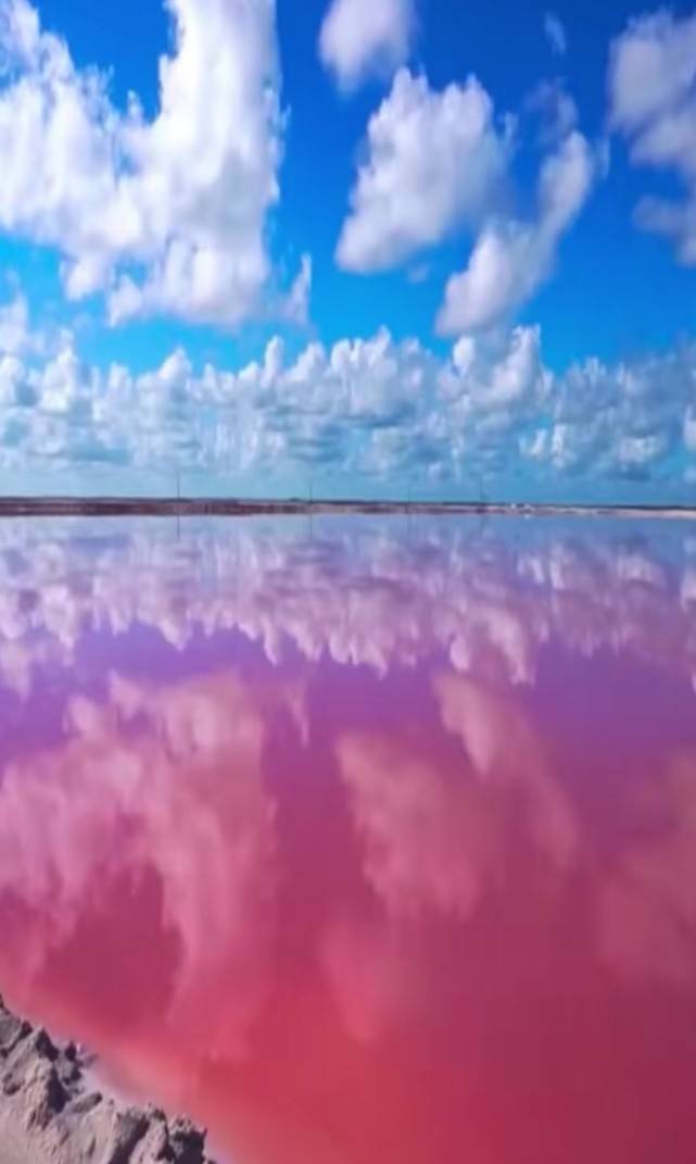 千姿百态的粉色湖美景,令人终身难忘!