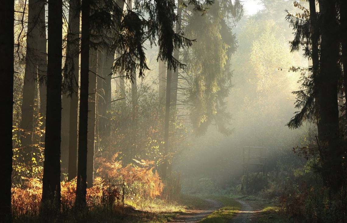 何为真正的自在 a310600b04644a1fa4a9e582c12bdca8.jpeg