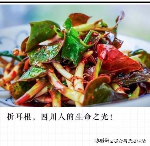 什么菜比较难种 40fe40be736d47339f80f59f9cba6a80.jpeg