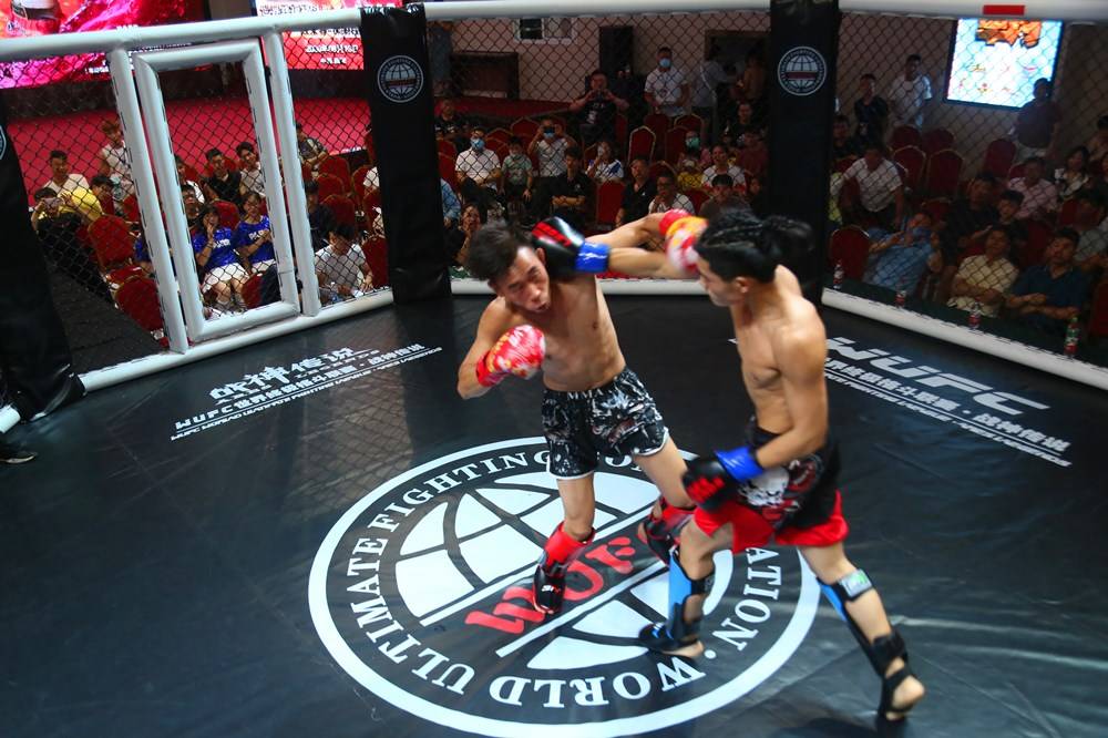 2020WUFC世界终极格斗联赛·拳王争霸在南阳成功举办