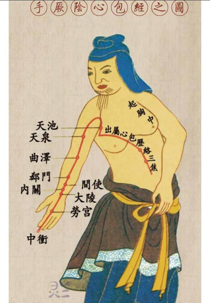 血管|从《黄帝内经》中寻找证据——经络的特征