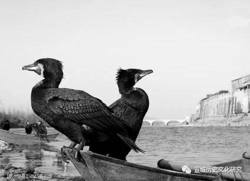 故事传记|泾县——小城记忆