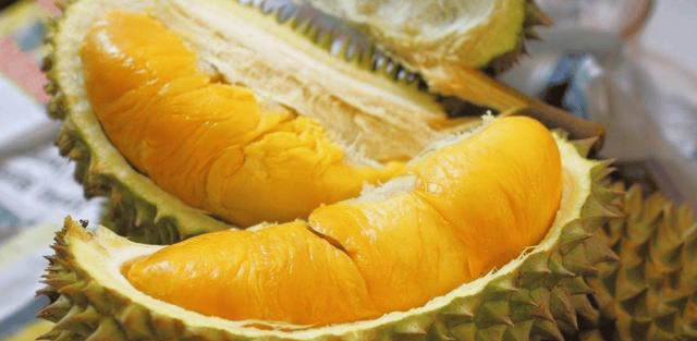ae7a352e214f45a2a5568570702244a6.png
