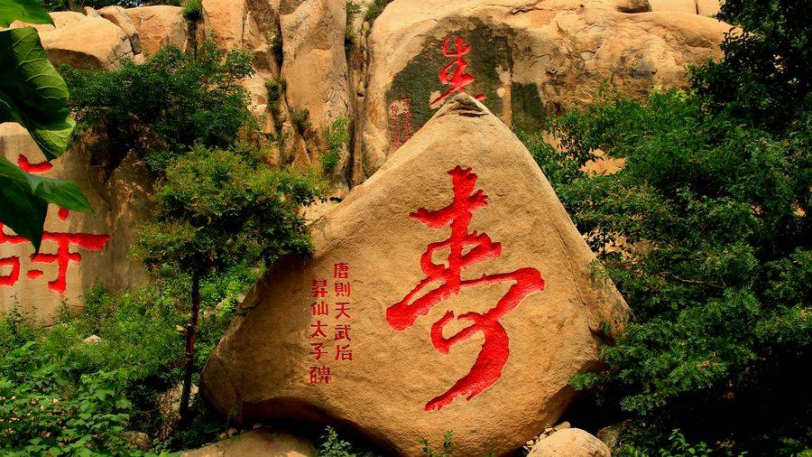 长命人口_长命百岁图片