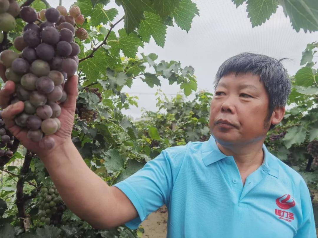 可对永清县里兰城付家厂村