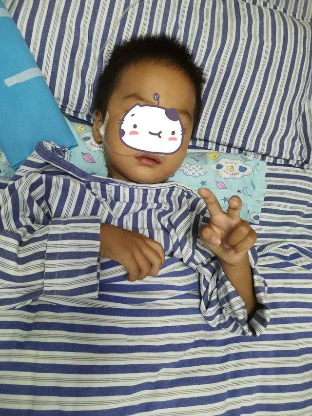 4岁男童18楼坠落奇迹生还全身多处骨折