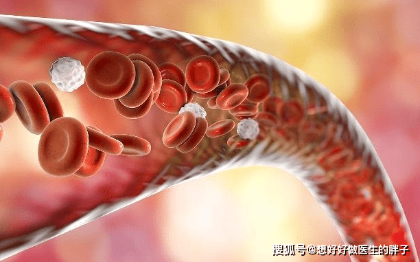 吃什么东西养血管最好 d915e67abe9b497f8287e5a9a439498f.png