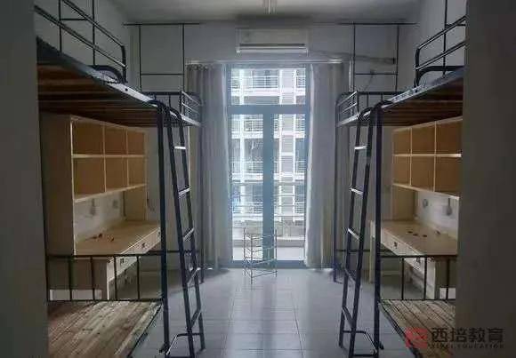 浙江财经大学