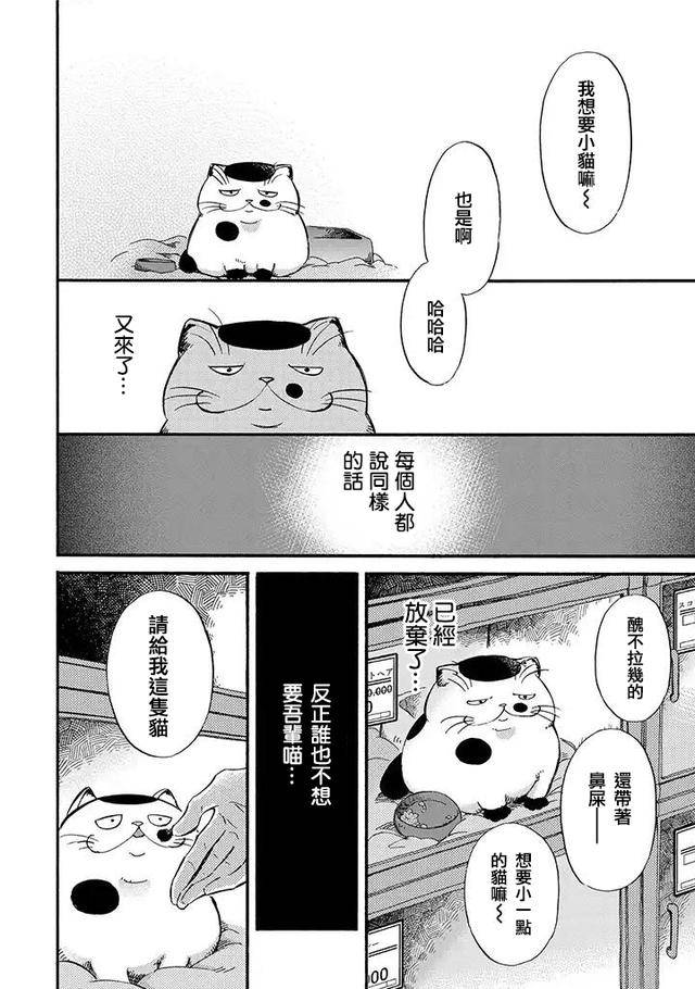 漫画:大叔与猫的故事,啊~超级治愈的