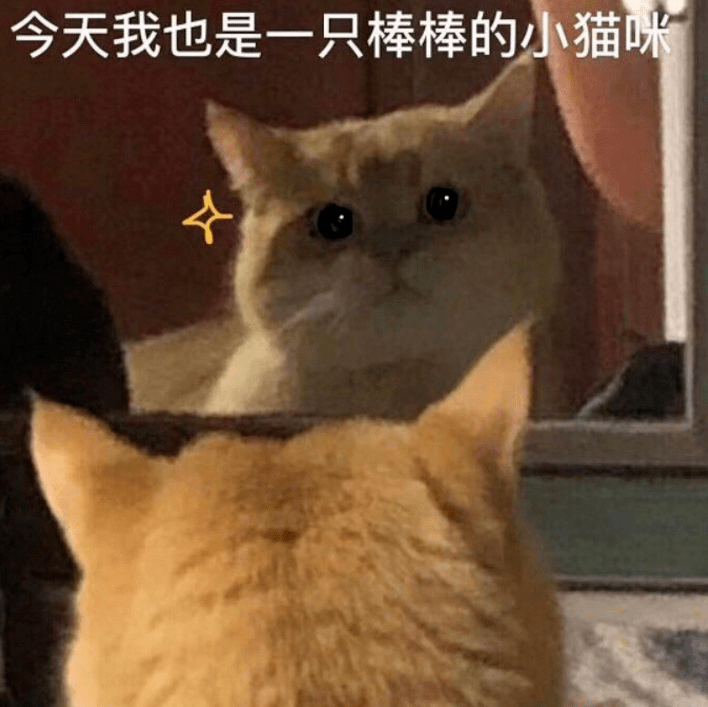 表情包:今天我也是一只棒棒的小猫咪