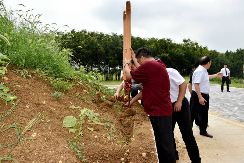 亲情萦绕 梦圆宛城—北京宗亲吕长胜一行莅临南阳寻根问祖