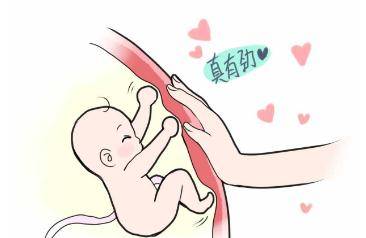 几个月胎儿在肚子里动 fe18de0199504344b04f7cd40e0ac276.jpeg