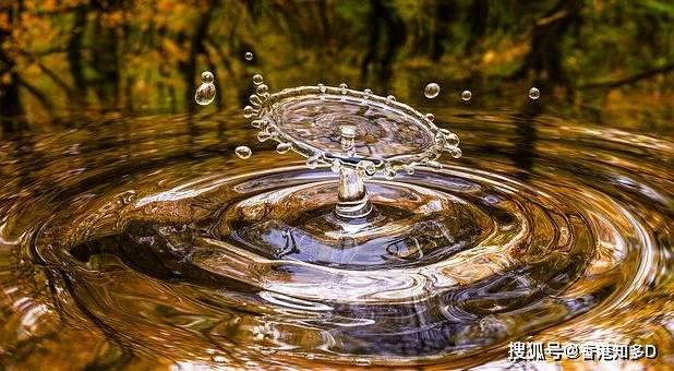 梦境之水，解析梦见清水漫在地上与梦见清水没过水桶的深层含义