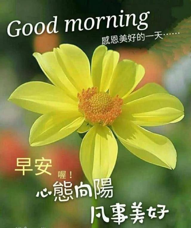 50f171c4dfa7431196caf80393bee4d1.jpeg