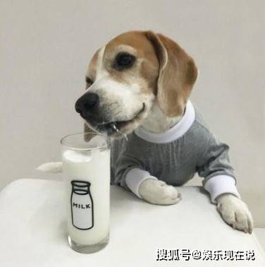 95d022c6c6d54c6bbe5a6b1ab0c42b35.jpeg
