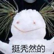 头发|娜扎消失的头发全回来了…这方法比鞠婧祎还高明！