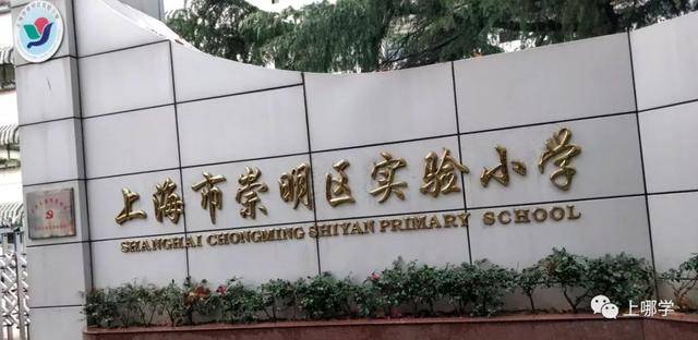 消息资讯|最新！上海又一区31所小学大盘点！上升势头猛！附收费标准