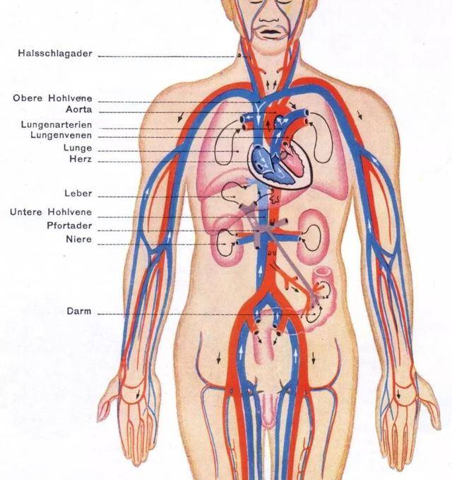 高血压加糖尿病的总人口_高血压糖尿病海报(2)