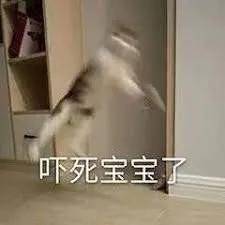 00c42c75b1f942558b9ba6fcd0787438.jpeg