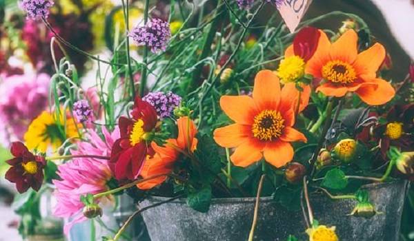 fanza2020年9月排名_玛法达巨蟹座2020年9月运势大全