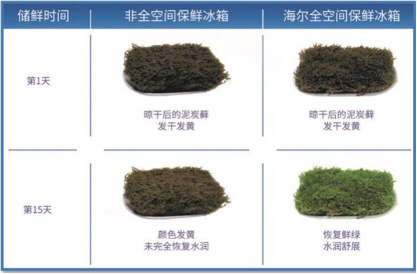 冰箱做得再好也只是冰箱!海尔突破硬件局限发力食联网-家电圈官网