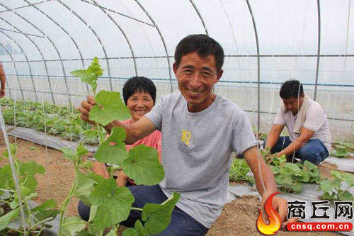 周堂镇人口_入宅周堂吉凶表图