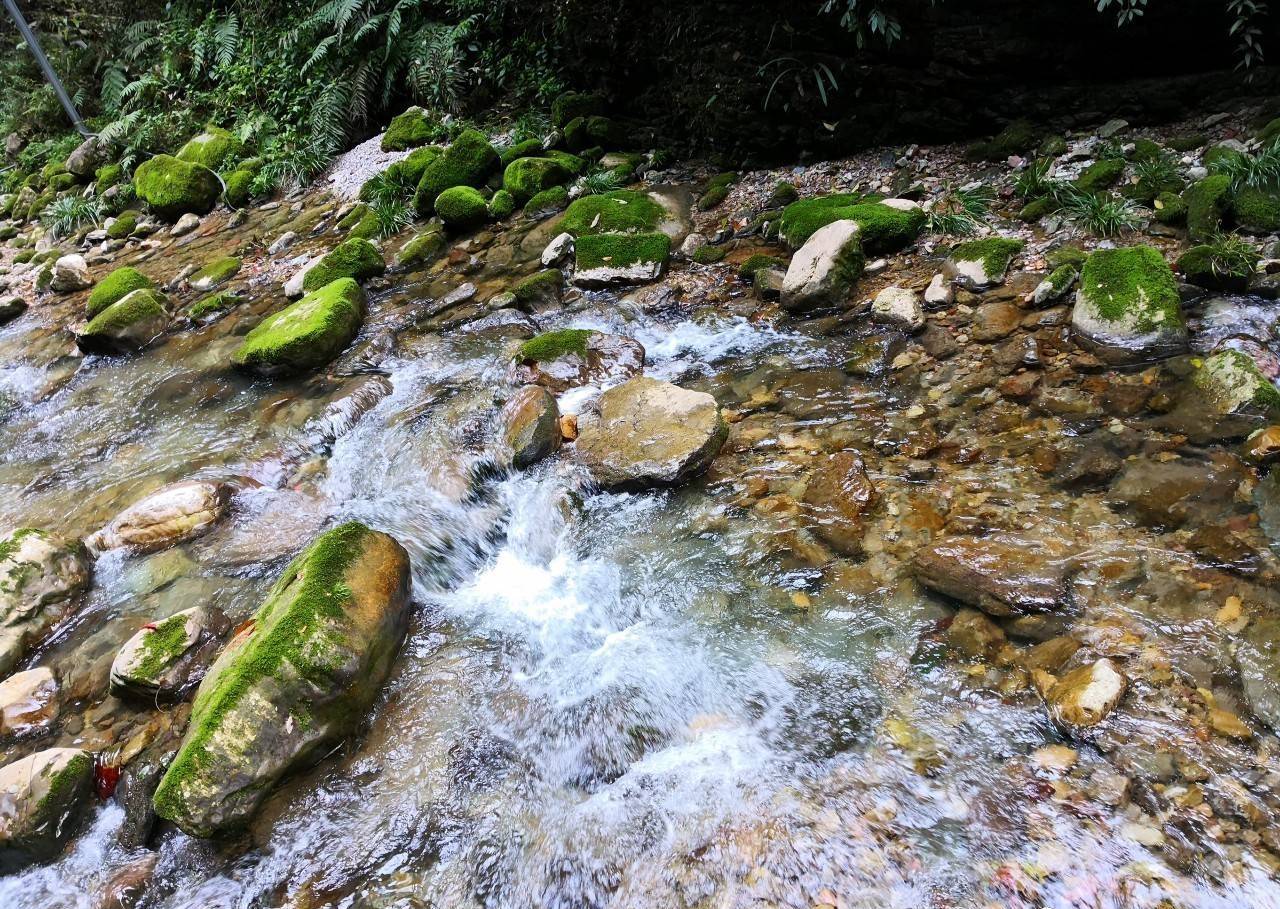 张家界自助游|张家界旅游攻略，四天时间玩张家界+凤凰，首选路线，大约多少费用人均